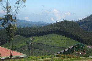 Doddabetta Resort Ooty Exteriör bild
